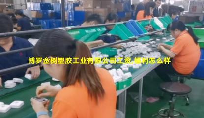 博罗金树塑胶工业 以包装印刷引领品质与创新